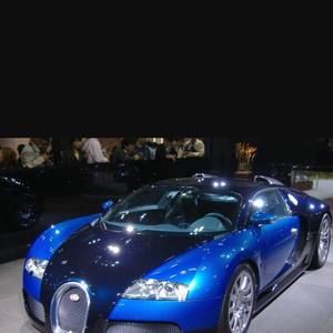 Meet your Posher, Patrick